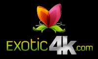 Exotic4K