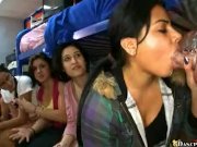 Young raven takes the initiative