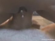 Sweet babe makes him cum 13/16