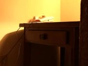 Wendy's xmas calendar audition  1/16