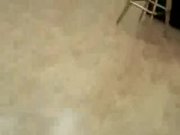 Netvideogirls - Vintage Calendar Audition 1/16