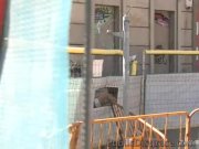 Lets go for a walk  15/16