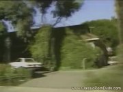 The pleasure spot  1/16