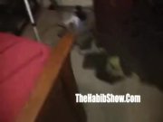 mixed thick baby momma fucked n sucked 7/16