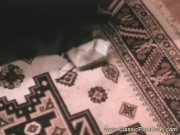 Classic catching pussycat 8/16