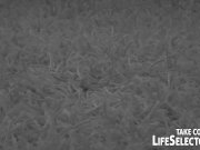 Juicy stories about sexy whores 11/16