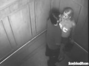 Sexy Time In The Elevator Gets Caught On Cam 2/16