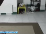 Busty chick lapdances in cute miniskirt 9/16