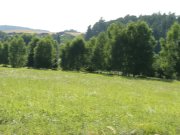 W4B Little Caprice masturbating in Porsche 1/16