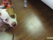 Christy Mack & Nick Manning BTS 1/16