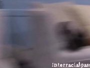 Daisy Layne on the hunt for some muff 4/16