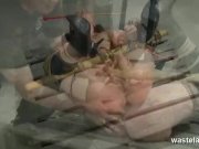 Tied up and butt plugged and pussy insertion 4/16