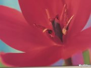 He bangs his lusty mother in law 1/16