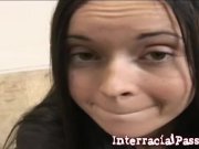 Pussy cat Jersey gets her pussy wrecked.  5/16