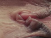 Put your face between Celestes legs 11/16