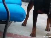 Behind the scenes of Samantha's photoshoot 10/16