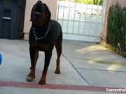 Behind the scenes of Samantha's photoshoot 12/16