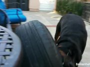 Behind the scenes of Samantha's photoshoot 15/16