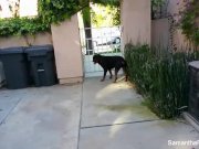 Behind the scenes of Samantha's photoshoot 8/16