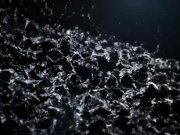 A shower of piss for her boyfriend 1/16