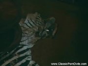 Pornstar Seka Porn Legend 5/16