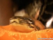 She Makes Me Feel Good 10/16