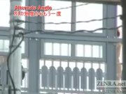 Subtitles Japanese public nudist walking 14/16
