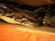 Lovely Lady Exposed the Secret of Bollywood 10/16