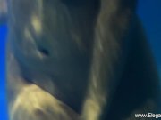 Bollywood Girl Cleansing Technique 16/16