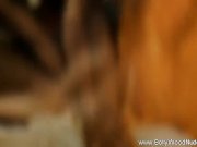 Lovely Indian Lover Dancer 13/16