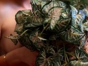 Fuck me now or lose me forever 16/16