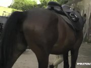 Posh Girl Emma Leigh Takes a Big Cock 1/16