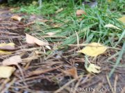 Bree Haze pissing in the forest 12/16