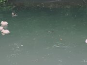 Young Sexy Girl Blowjob For Old Man And Swallows 1/16