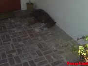 Roughsex loving ebony babe nailed hard 5/16