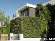 BLACKED Hot Megan Rain Gets DP'd By Her Sugar Daddy and His Friend 2/16