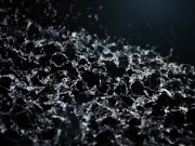 Dido Angel Piss drinking with her lesbian friend Eva Berger 1/16