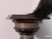 Taissia Shanti Has Hot Threeway With Penelope Cum 1/16