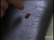 PrivateClassics com - the Anal Stylist 5/16