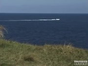 Lydia Gets a DP next to the Sea 4/16