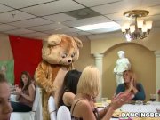 It's time to celebrate and party with the infamous Dancing Bear! (db9822) 2/16