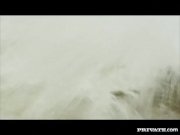 Private com - Trio with DP on the beach 4/16