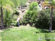 FantasyHD Huge breasted Ava Addams takes a load on her tits 1/16