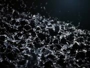 Slut destroyed by 2 cocks and gallons of piss 2/16