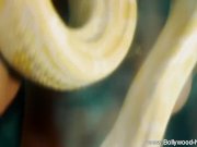 Lover Lover Thy Name Is 12/16