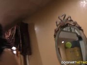 Interracial Gangbang and DP with Chanel Preston 13/16