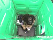 Latina sucking cock in public toliet 10/16