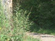 Amazing babe with big tits shows her goods 2/16