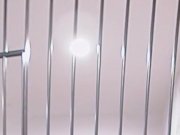 VR PORN-August Ames Get fucked hard in prison 2/16