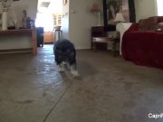 Capri Cavanni porn behind the scenes 14/16